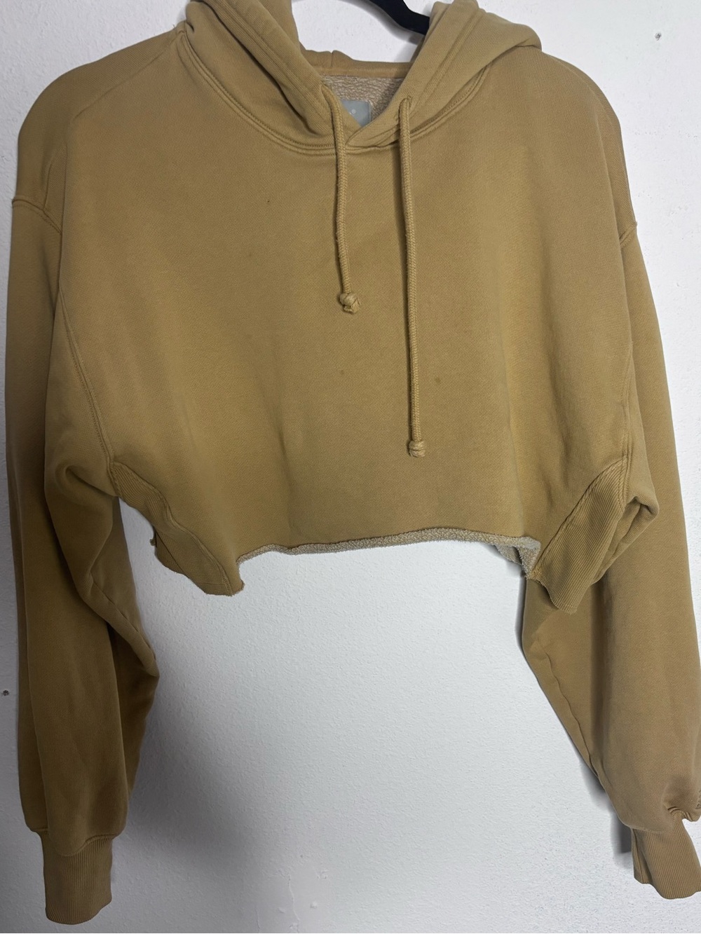 TNA by Aritzia Cropped Hoodie in Tan